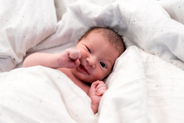 Newborn Baby Funny Face Expression Stock Photo By Leszekglasner Photodune